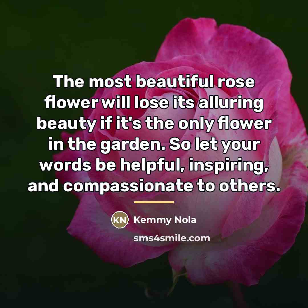 “The most beautiful rose flower will lose its alluring beauty…” quote by Kemmy Nola