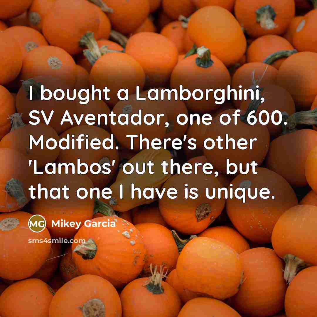 “I bought a Lamborghini, SV Aventador, one of 600. Modified.…” quote by Mikey Garcia