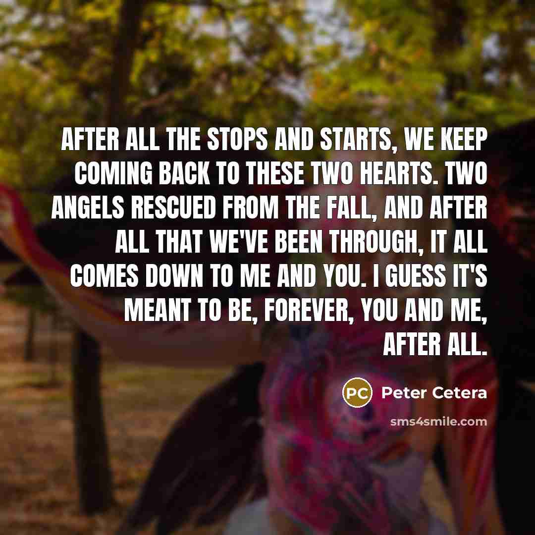 “After all the stops and starts, we keep coming back…” quote by Peter Cetera