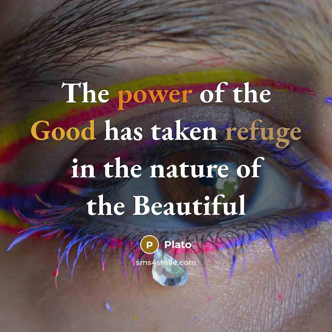 “The power of the Good has taken refuge in the…” quote by Plato