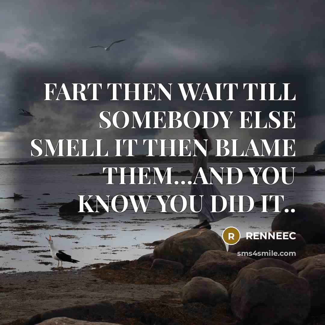 “FART THEN WAIT TILL SOMEBODY ELSE SMELL IT THEN BLAME…” quote by Renneec