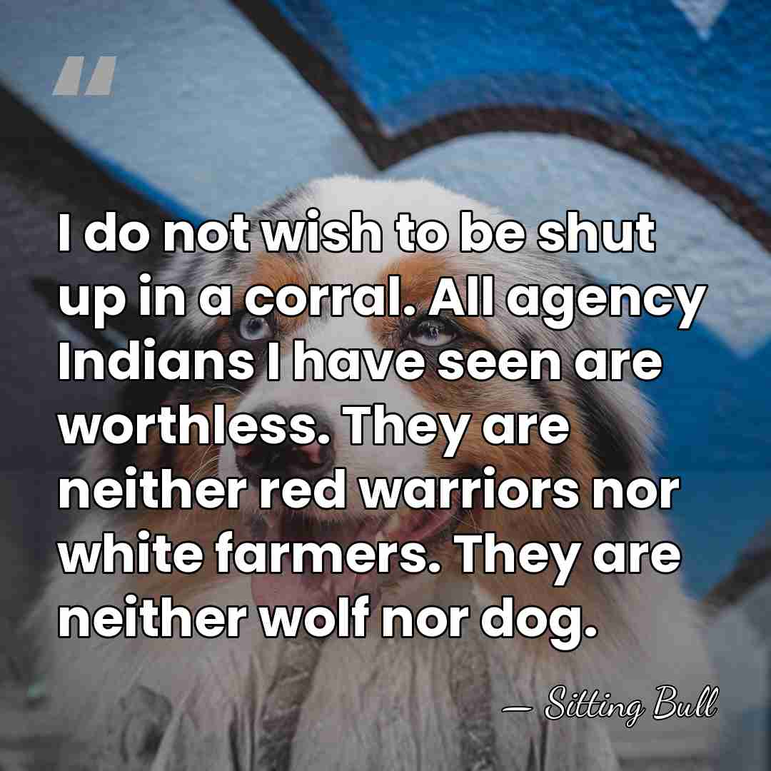 I do not wish to be shut up in a corral. All&hellip; - Sitting Bull