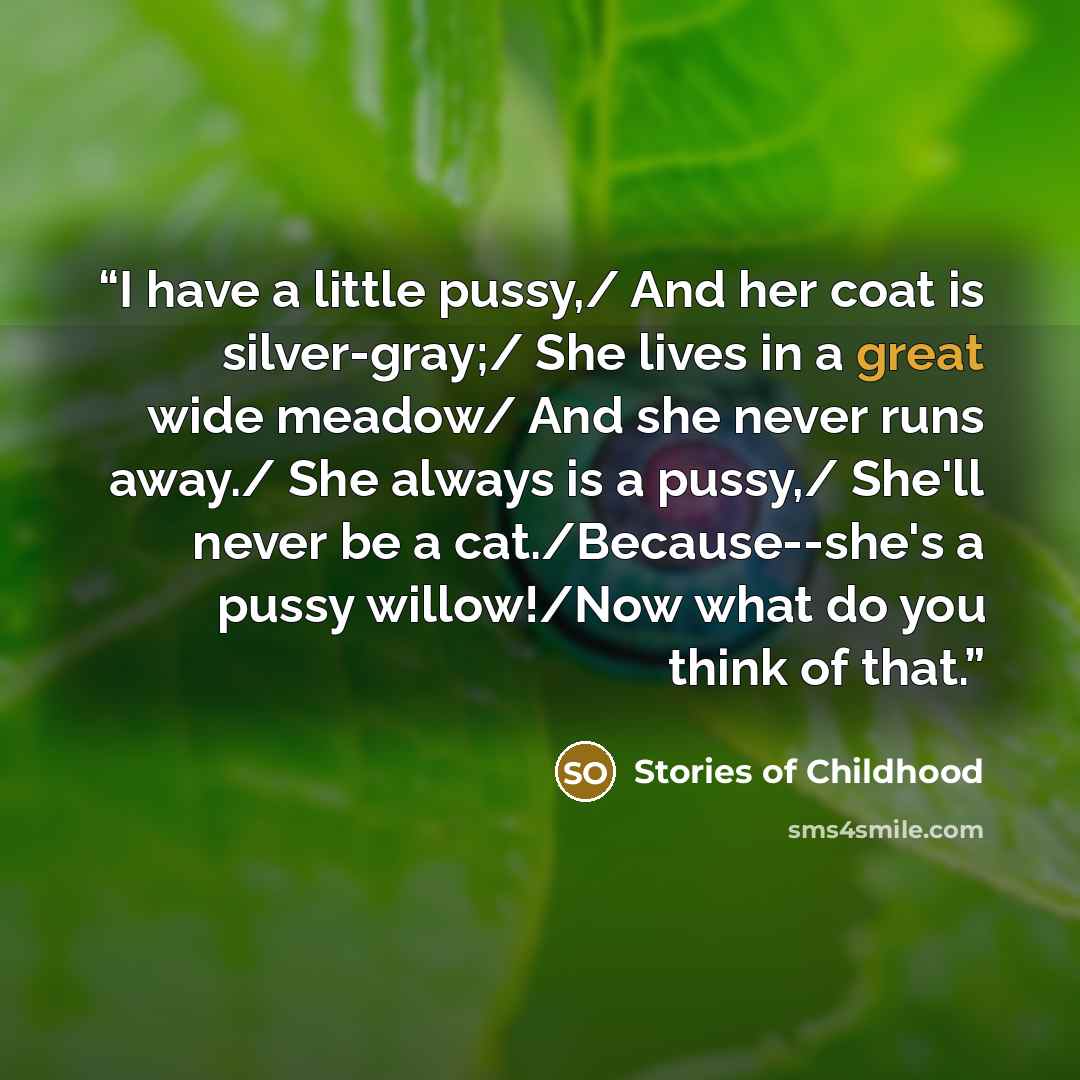 “I have a little pussy,/ And her coat is silver-gray;/ She lives in a great wide meadow/ And she never runs away./ She always is a pussy,/ She'll never be a cat./Because--she's a pussy willow!/Now what do you think of that.” quote by Stories of Childhood