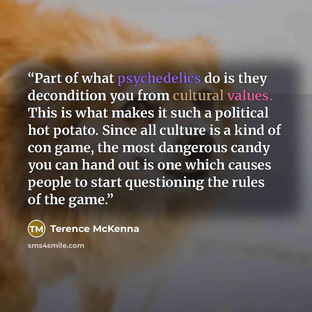 “Part of what psychedelics do is they decondition you from cultural values. This is what makes it such a political hot potato. Since all culture is a kind of con game, the most dangerous candy you can hand out is one which causes people to start questioning the rules of the game.” quote by Terence McKenna