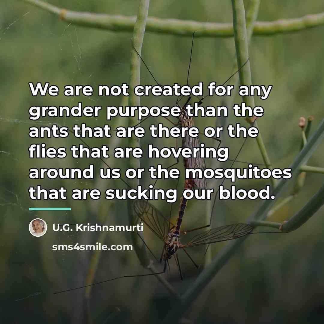 “We are not created for any grander purpose than the…” quote by U.G. Krishnamurti