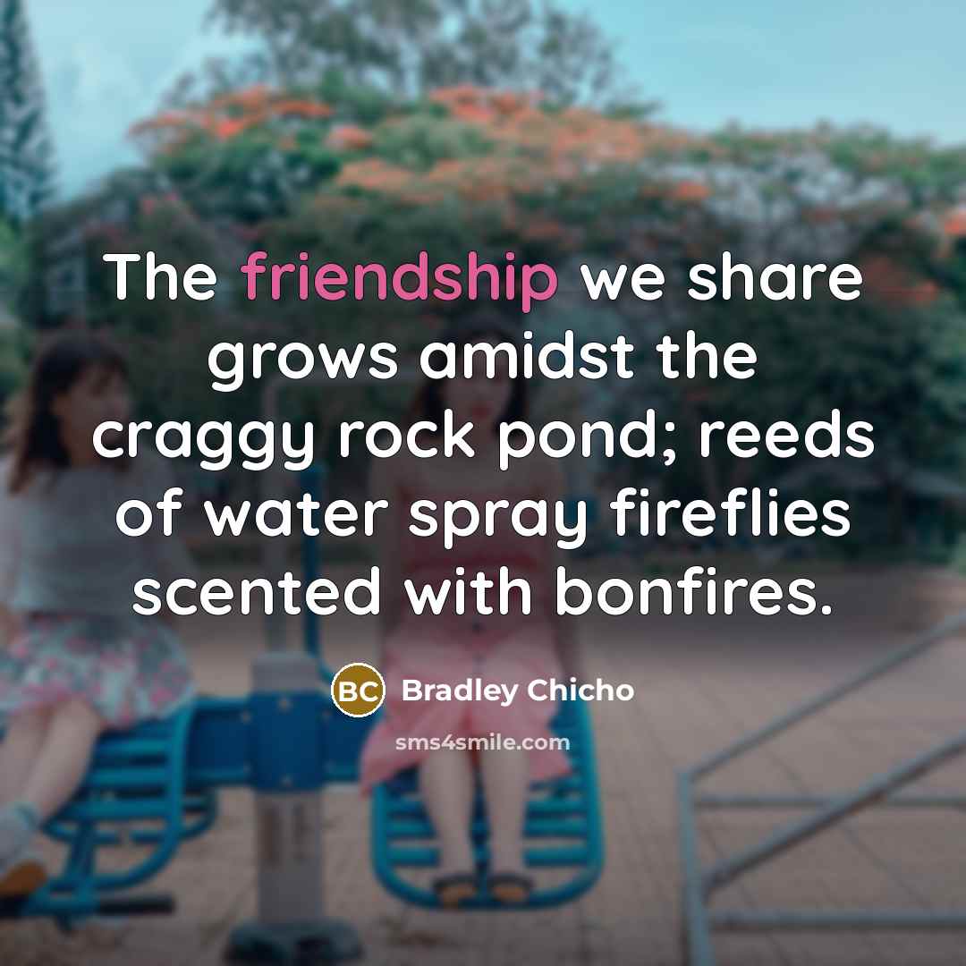 “The friendship we share grows amidst the craggy rock pond;…” quote by Bradley Chicho