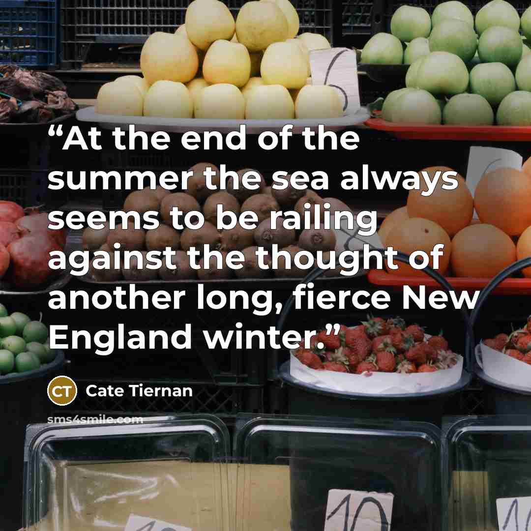 “At the end of the summer the sea always seems to be railing against the thought of another long, fierce New England winter.” quote by Cate Tiernan