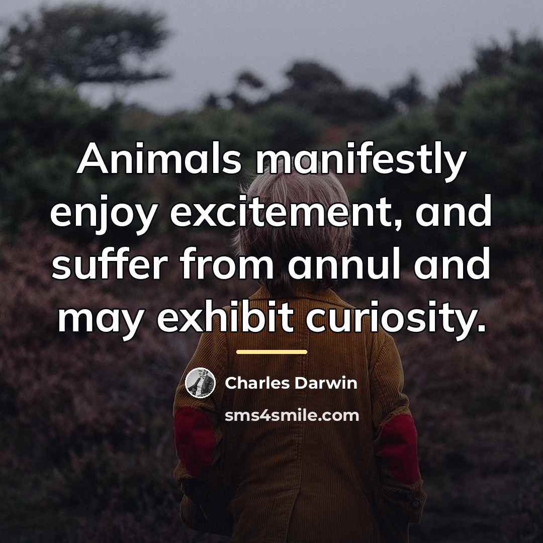 “Animals manifestly enjoy excitement, and suffer from annul and may…” quote by Charles Darwin