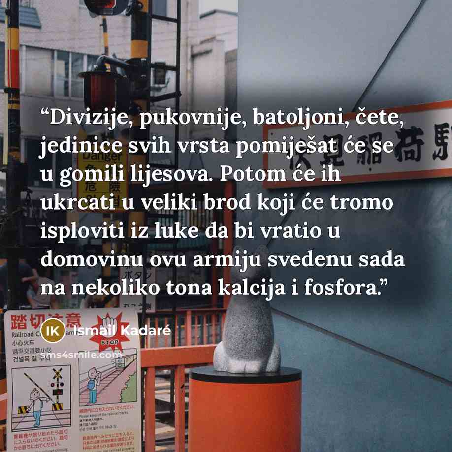 “Divizije, pukovnije, batoljoni, čete, jedinice svih vrsta pomiješat će se u gomili lijesova. Potom će ih ukrcati u veliki brod koji će tromo isploviti iz luke da bi vratio u domovinu ovu armiju svedenu sada na nekoliko tona kalcija i fosfora.” quote by Ismail Kadaré