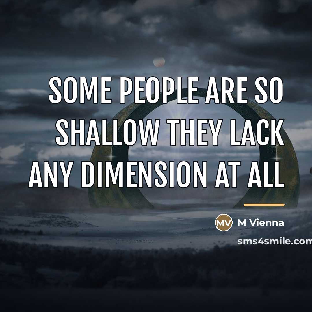 “Some people are so shallow they lack any dimension at…” quote by M Vienna