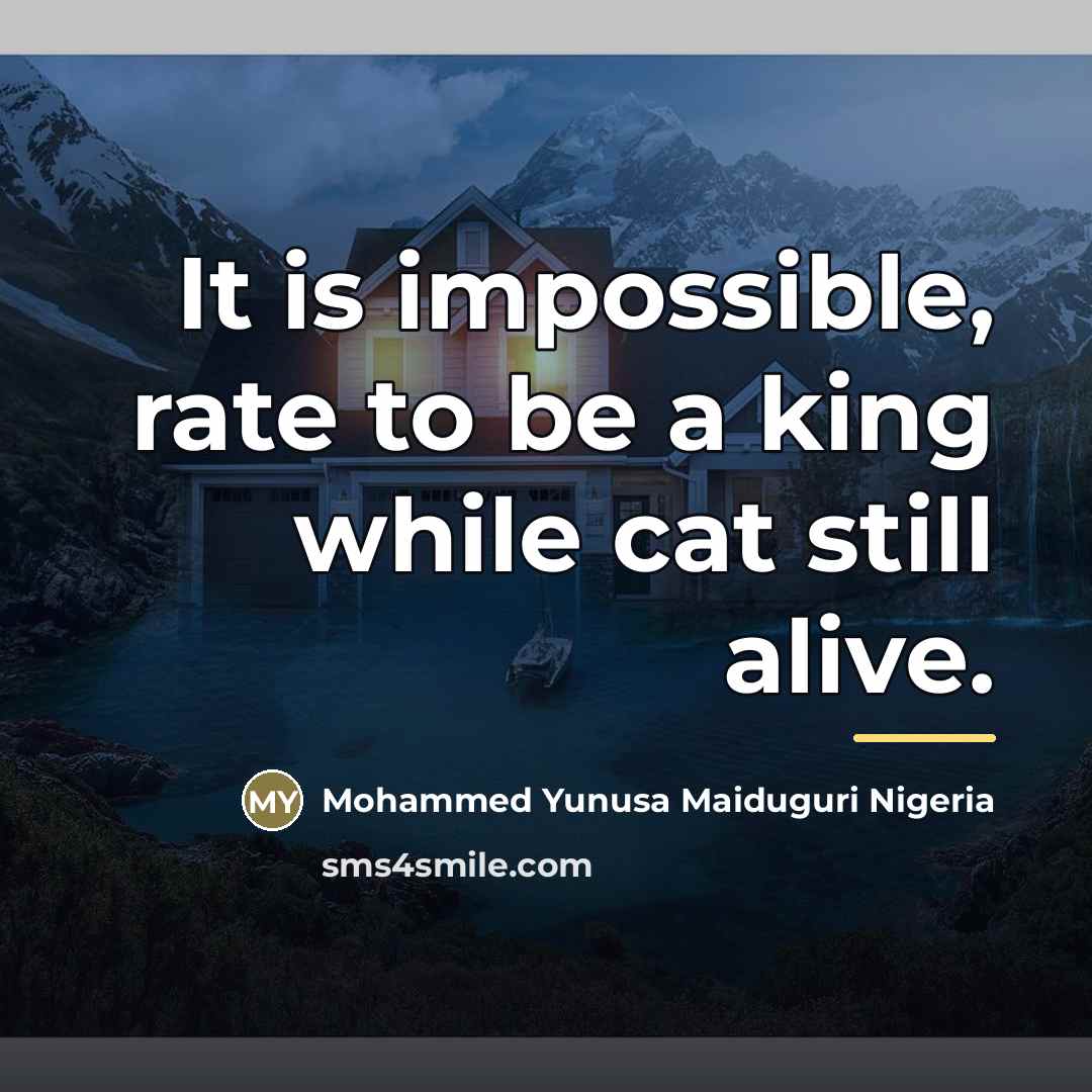“It is impossible, rate to be a king while cat…” quote by Mohammed Yunusa Maiduguri Nigeria