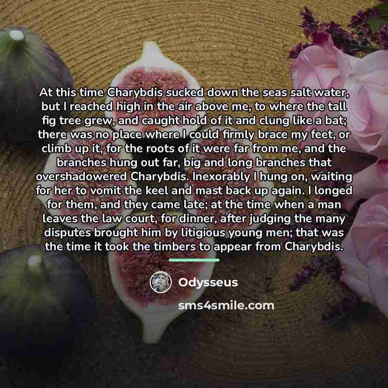 “At this time Charybdis sucked down the seas salt water,…” quote by Odysseus