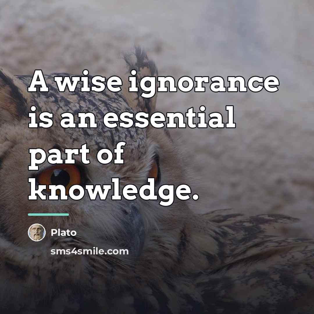 “A wise ignorance is an essential part of knowledge.…” quote by Plato
