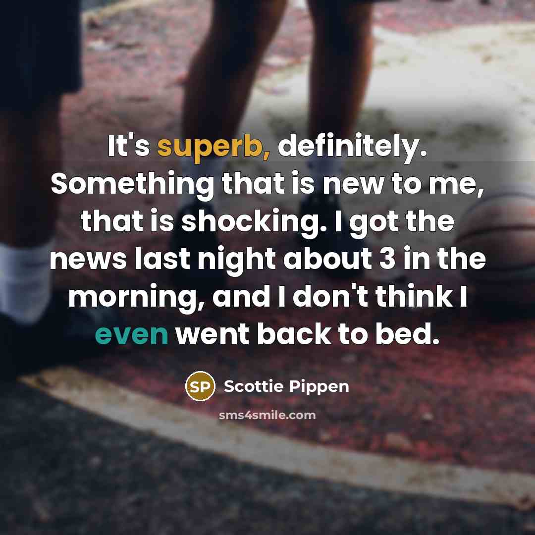 “It's superb, definitely. Something that is new to me, that…” quote by Scottie Pippen