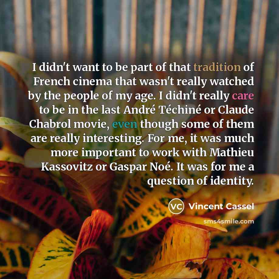 “I didn't want to be part of that tradition of…” quote by Vincent Cassel