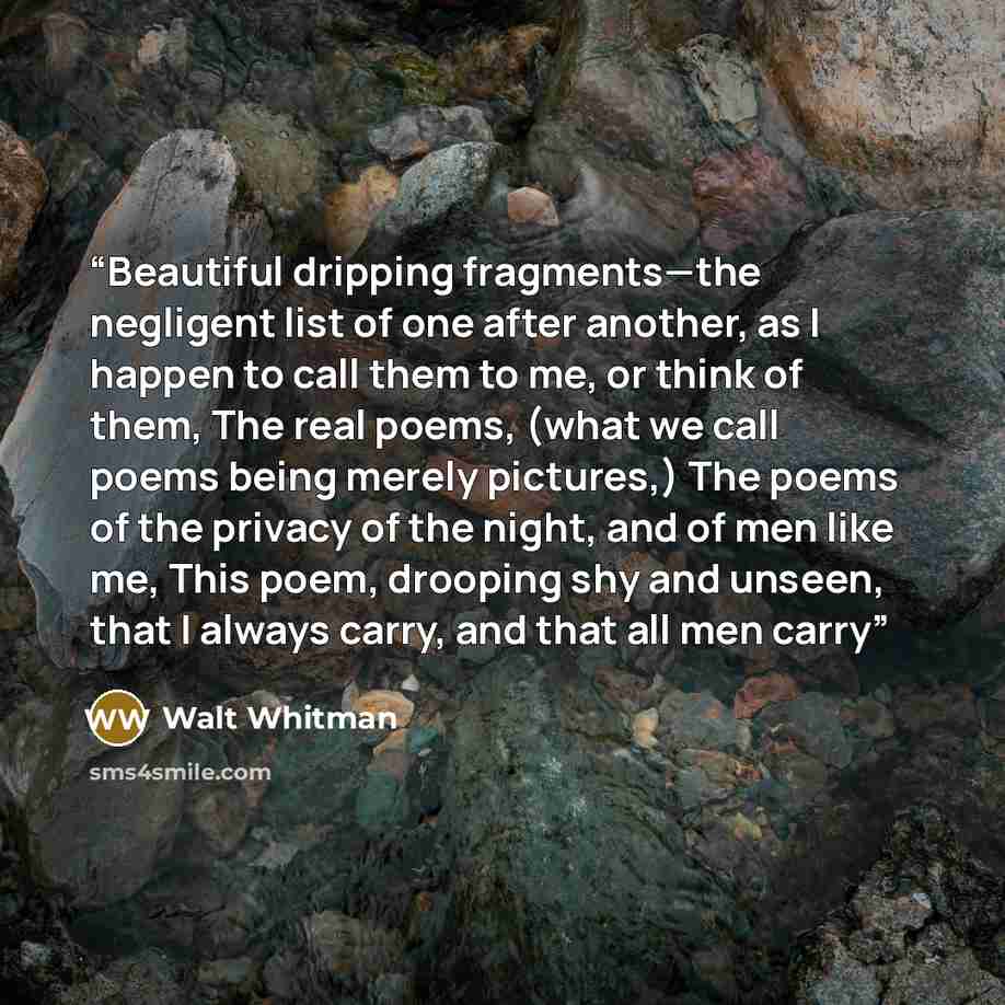 “Beautiful dripping fragments—the negligent list of one after another, as I happen to call them to me, or think of them, The real poems, (what we call poems being merely pictures,) The poems of the privacy of the night, and of men like me, This poem, drooping shy and unseen, that I always carry…” quote by Walt Whitman
