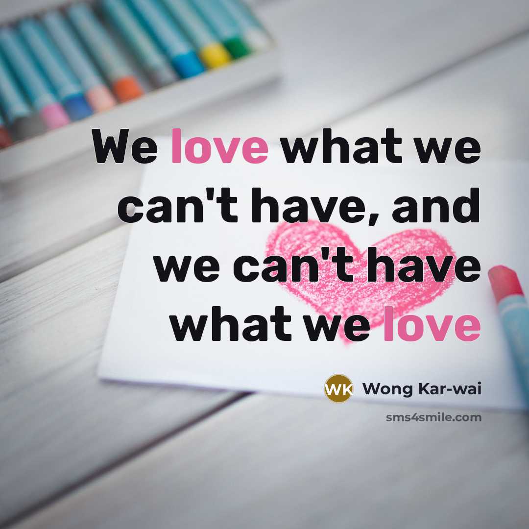 “We love what we can't have, and we can't have…” quote by Wong Kar-wai