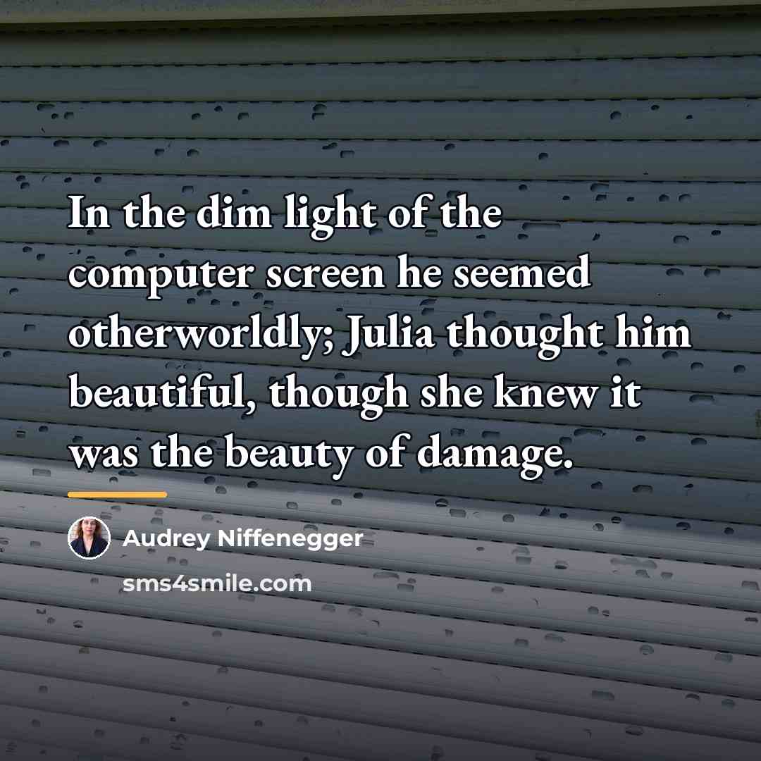 “In the dim light of the computer screen he seemed…” quote by Audrey Niffenegger