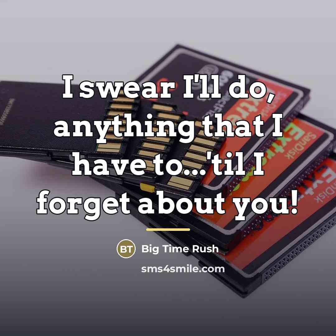 “I swear I'll do, anything that I have to...'til I…” quote by Big Time Rush