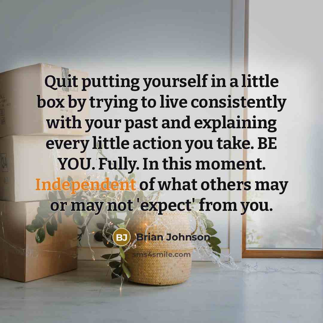 “Quit putting yourself in a little box by trying to…” quote by Brian Johnson