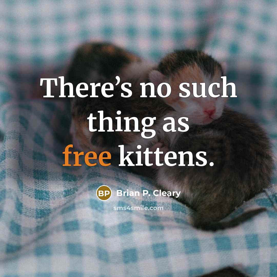 “There’s no such thing as free kittens.…” quote by Brian P. Cleary