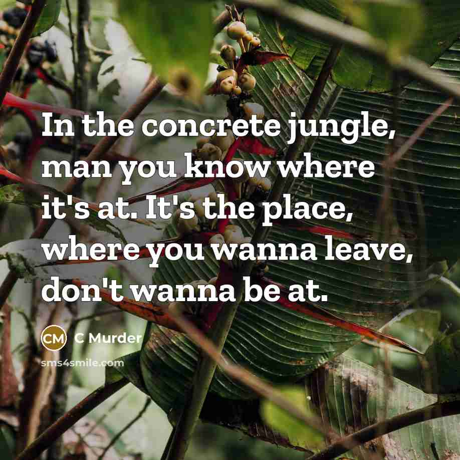 “In the concrete jungle, man you know where it's at. It's the place, where you wanna leave, don't wanna be at.” quote by C Murder