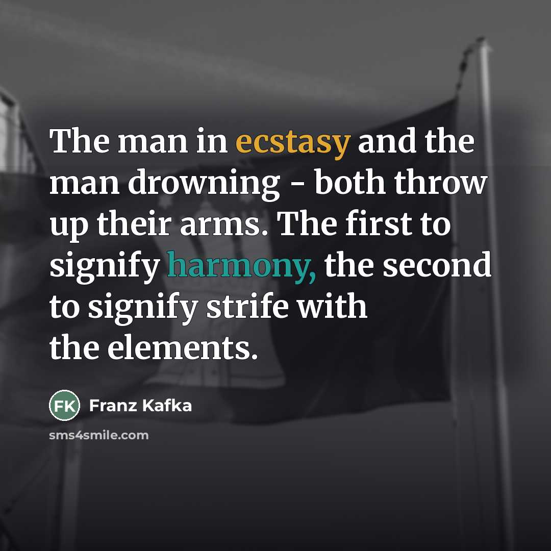 “The man in ecstasy and the man drowning - both…” quote by Franz Kafka
