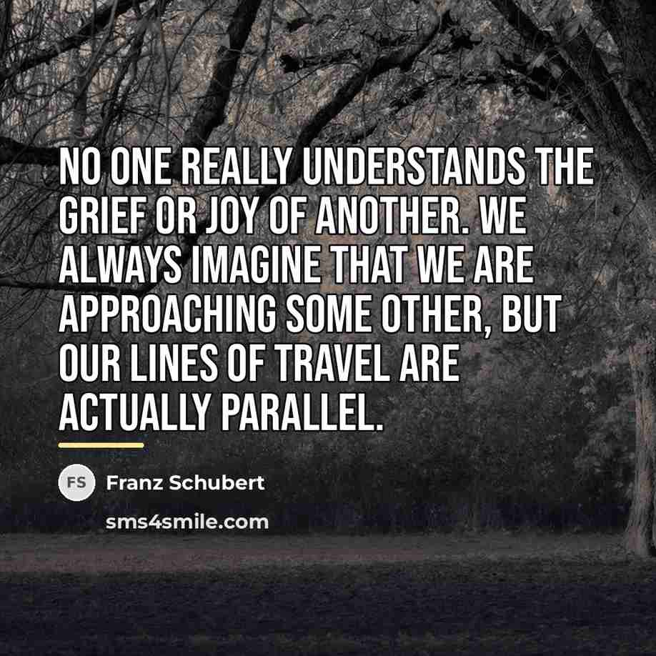 “No one really understands the grief or joy of another.…” quote by Franz Schubert