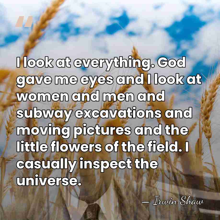 I look at everything. God gave me eyes and I look at&hellip; - Irwin Shaw