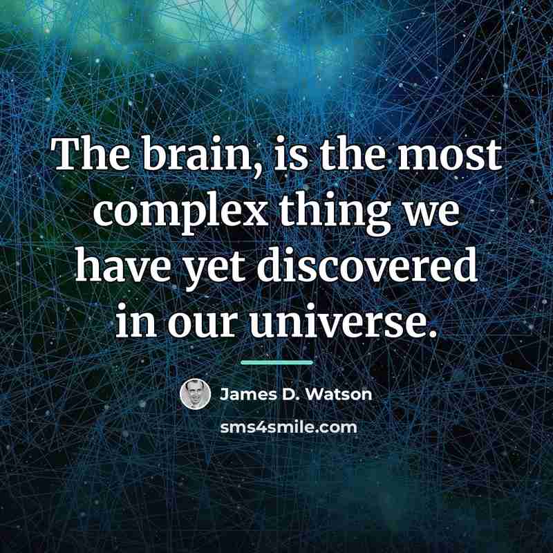 “The brain, is the most complex thing we have yet…” quote by James D. Watson