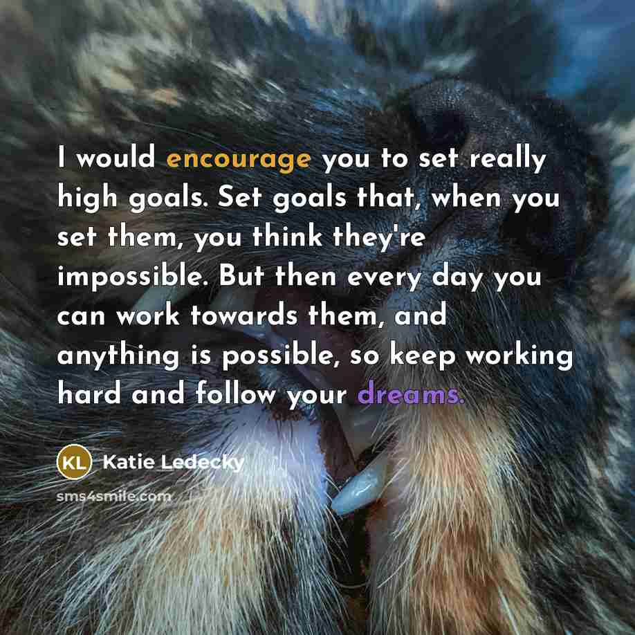 “I would encourage you to set really high goals. Set…” quote by Katie Ledecky