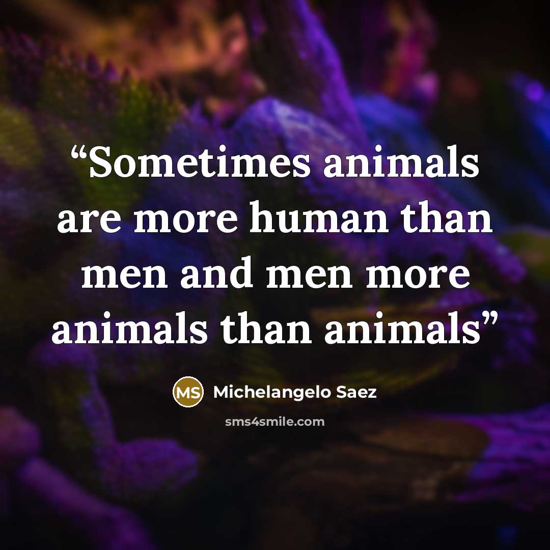 “Sometimes animals are more human than men and men more animals than animals” quote by Michelangelo Saez