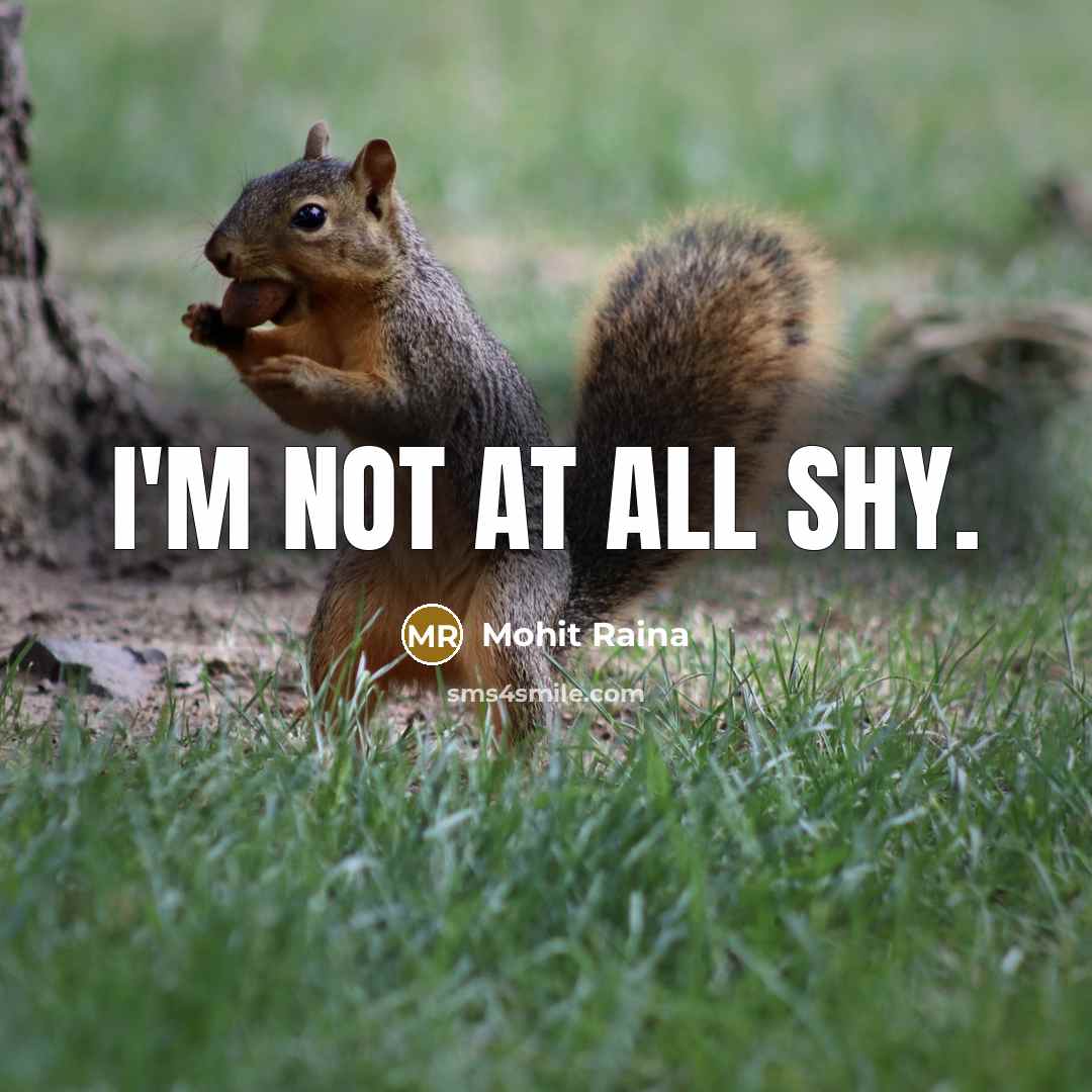 “I'm not at all shy.” quote by Mohit Raina