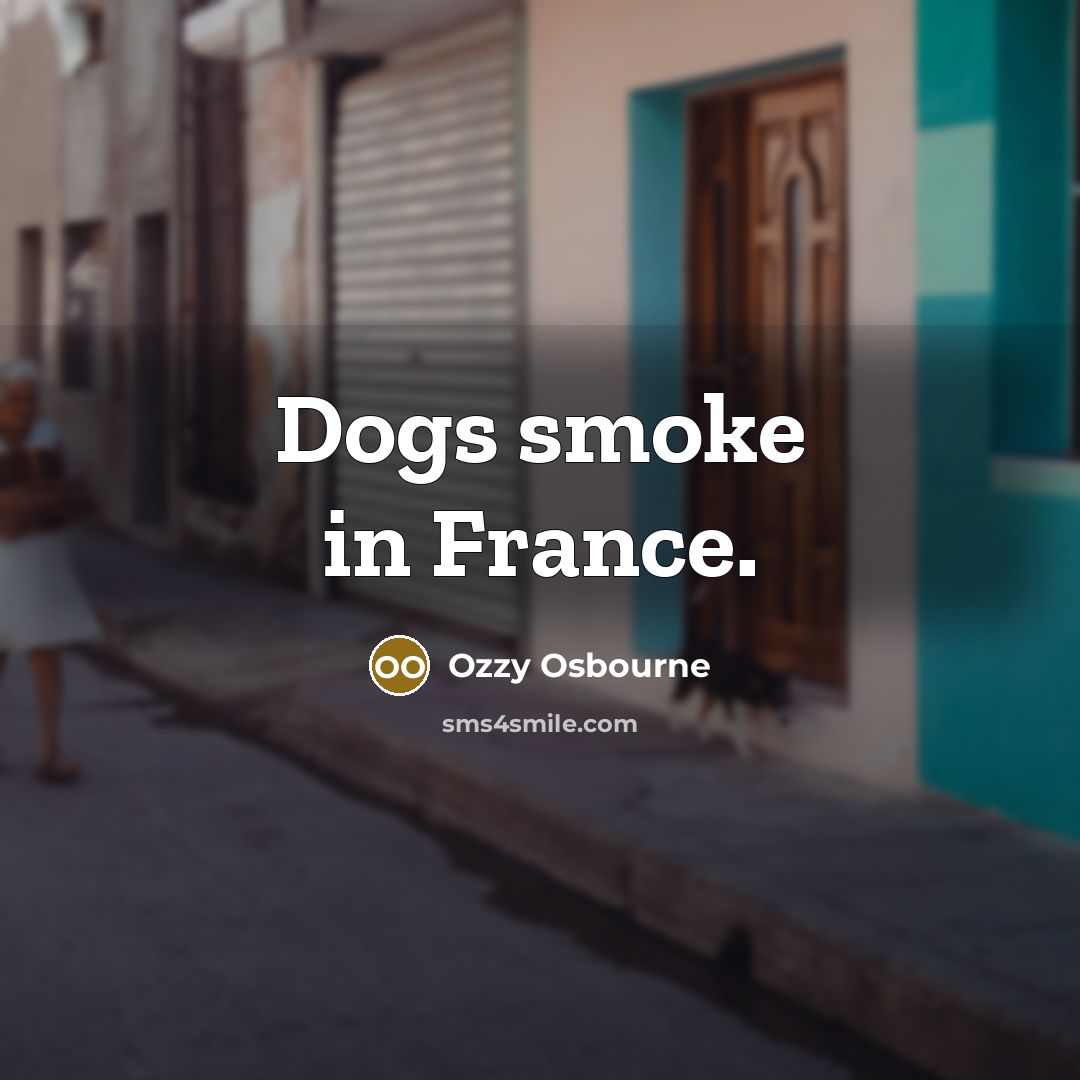“Dogs smoke in France.…” quote by Ozzy Osbourne