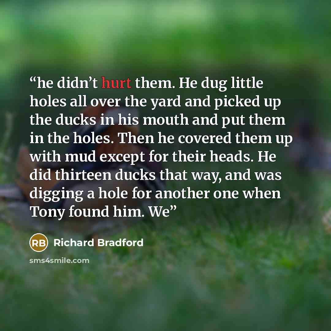 “he didn’t hurt them. He dug little holes all over the yard and picked up the ducks in his mouth and put them in the holes. Then he covered them up with mud except for their heads. He did thirteen ducks that way, and was digging a hole for another one when Tony found him. We” quote by Richard Bradford