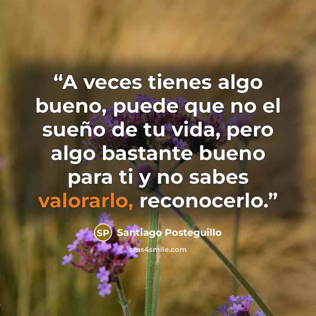 “A veces tienes algo bueno, puede que no el sueño de tu vida, pero algo bastante bueno para ti y no sabes valorarlo, reconocerlo.” quote by Santiago Posteguillo