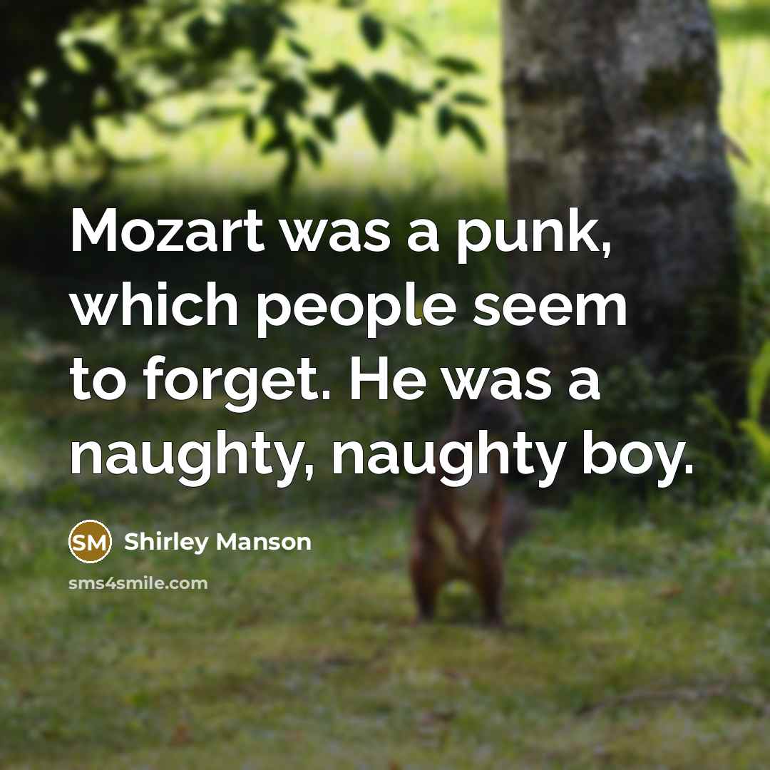 “Mozart was a punk, which people seem to forget. He…” quote by Shirley Manson