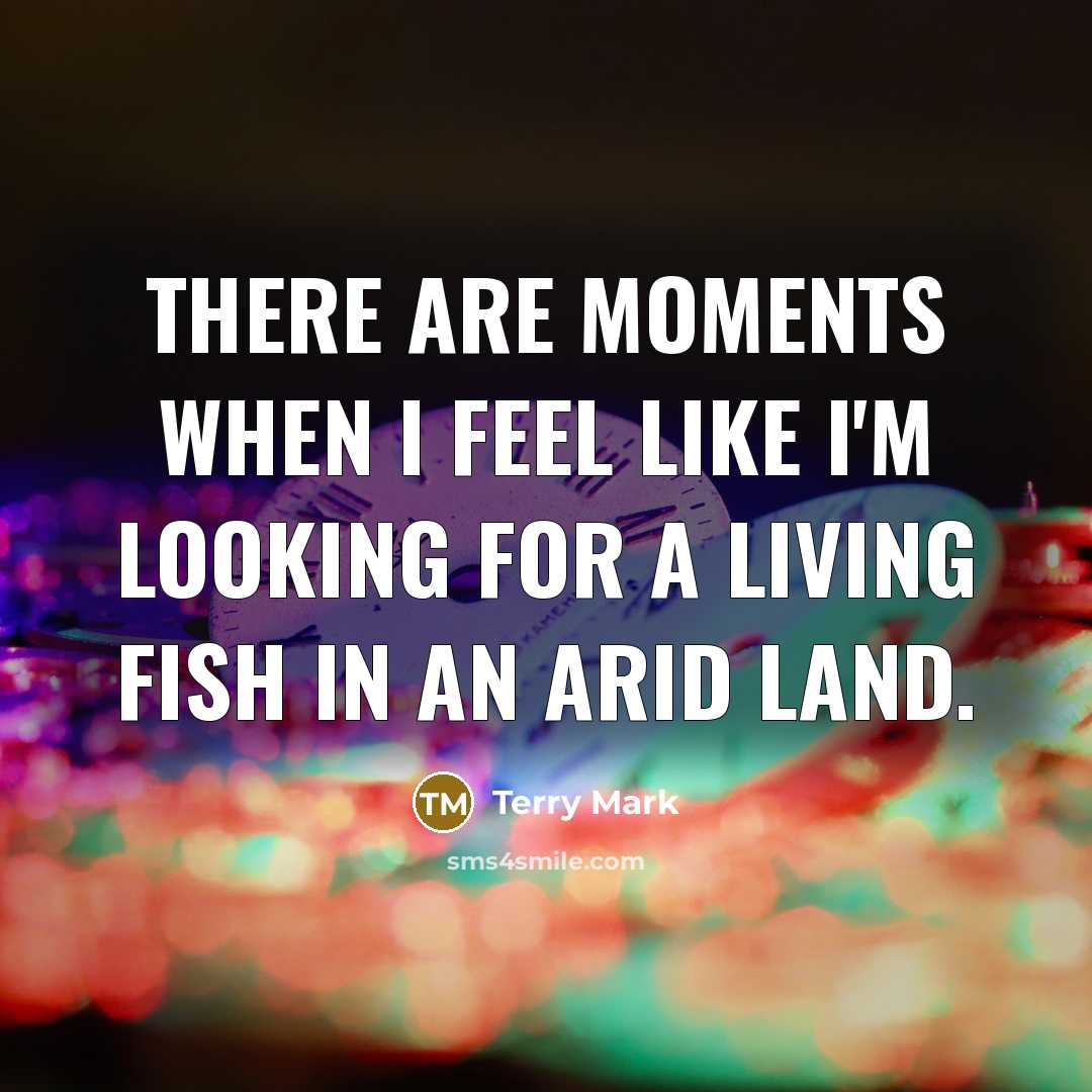 “There are moments when I feel like I'm looking for…” quote by Terry Mark