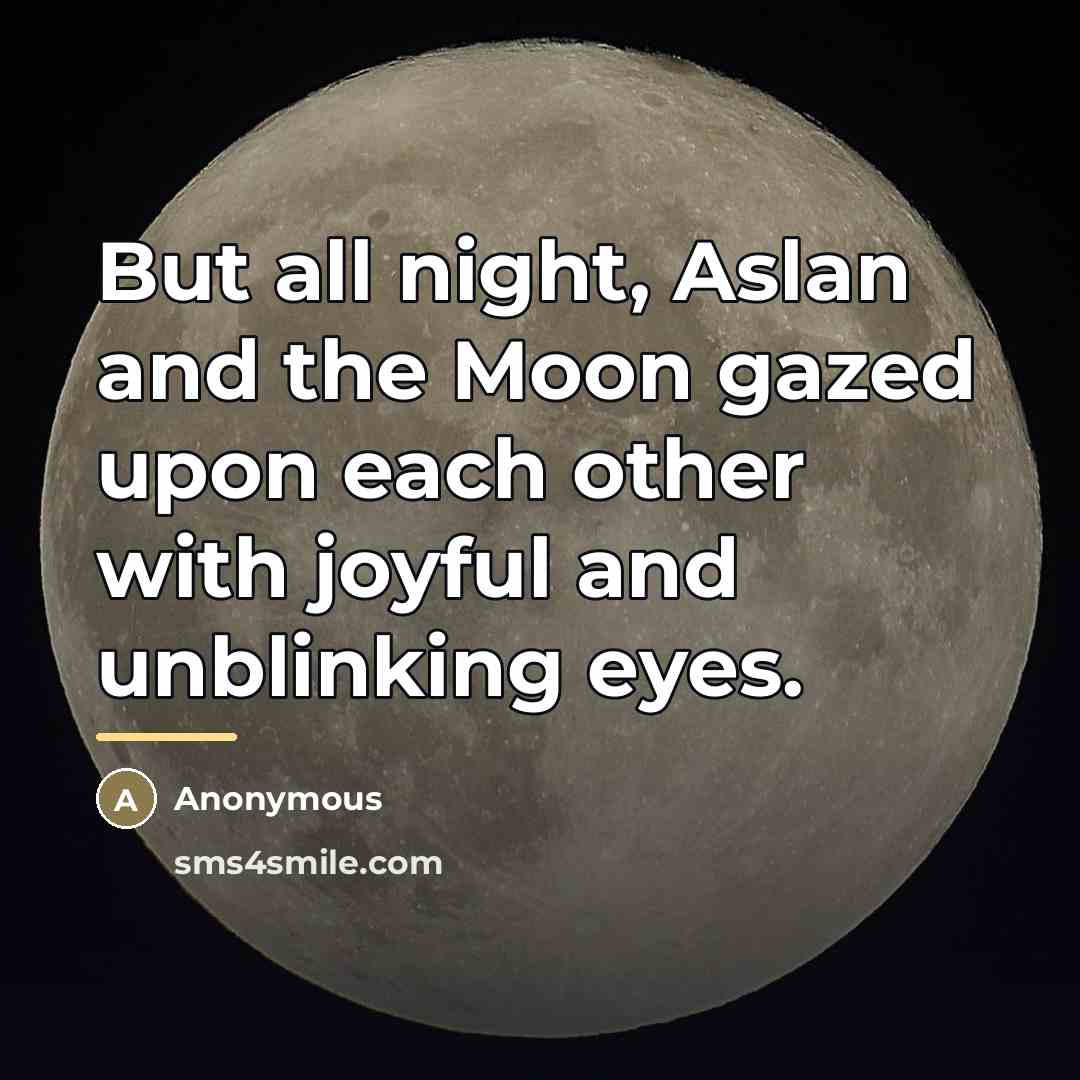 “But all night, Aslan and the Moon gazed upon each…” quote by Anonymous