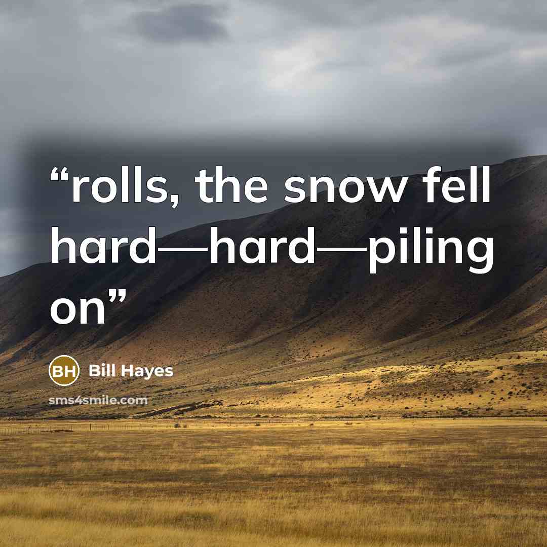 “rolls, the snow fell hard—hard—piling on” quote by Bill Hayes