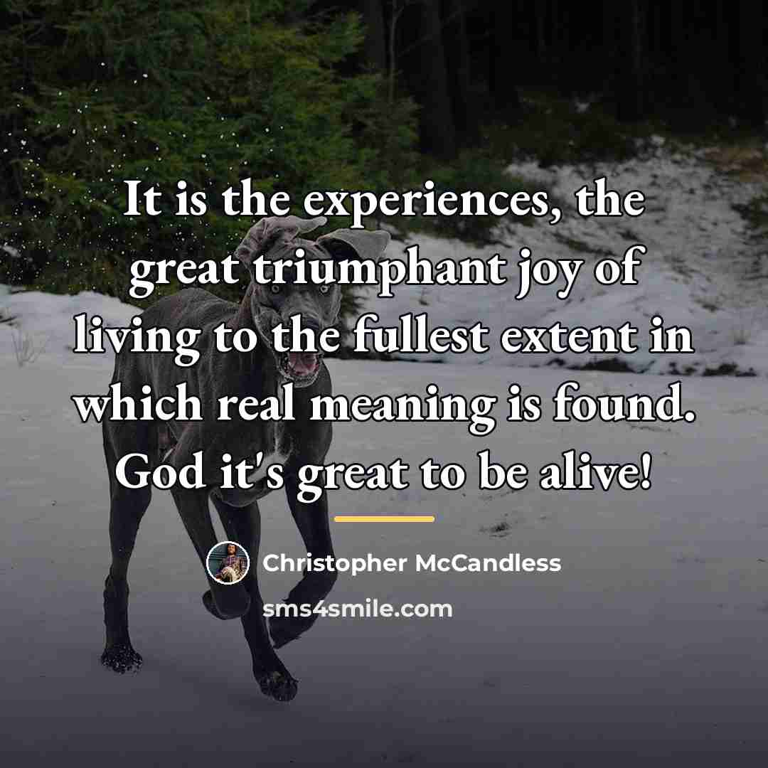 “It is the experiences, the great triumphant joy of living…” quote by Christopher McCandless