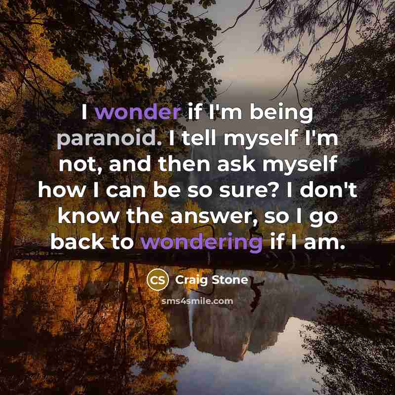 “I wonder if I'm being paranoid. I tell myself I'm…” quote by Craig Stone