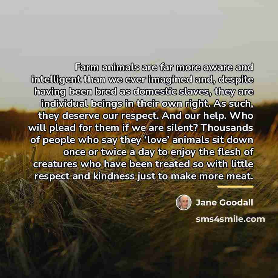 “Farm animals are far more aware and intelligent than we…” quote by Jane Goodall