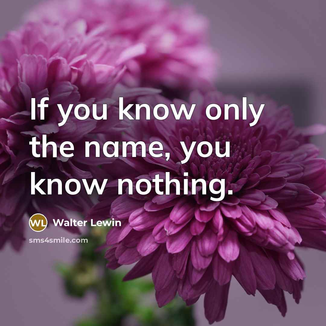“If you know only the name, you know nothing.…” quote by Walter Lewin