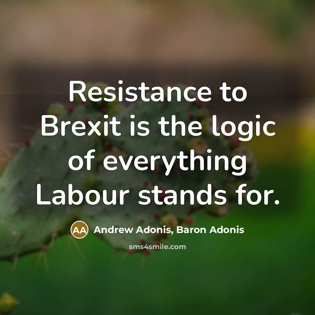 “Resistance to Brexit is the logic of everything Labour stands…” quote by Andrew Adonis, Baron Adonis
