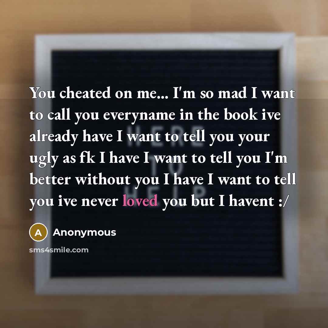 “You cheated on me.... I'm so mad I want to…” quote by Anonymous