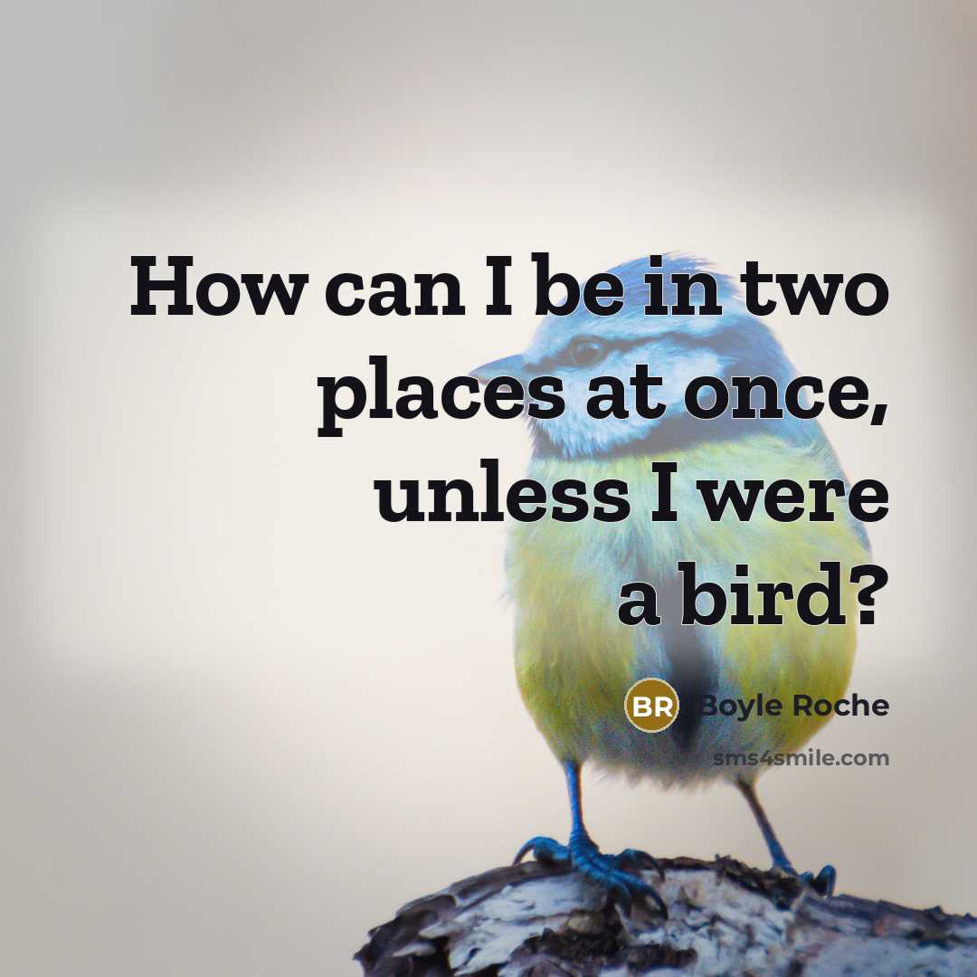 “How can I be in two places at once, unless…” quote by Boyle Roche