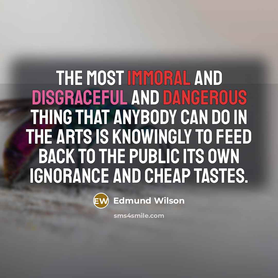 “The most immoral and disgraceful and dangerous thing that anybody…” quote by Edmund Wilson