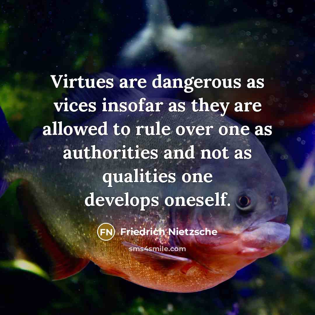 “Virtues are dangerous as vices insofar as they are allowed…” quote by Friedrich Nietzsche