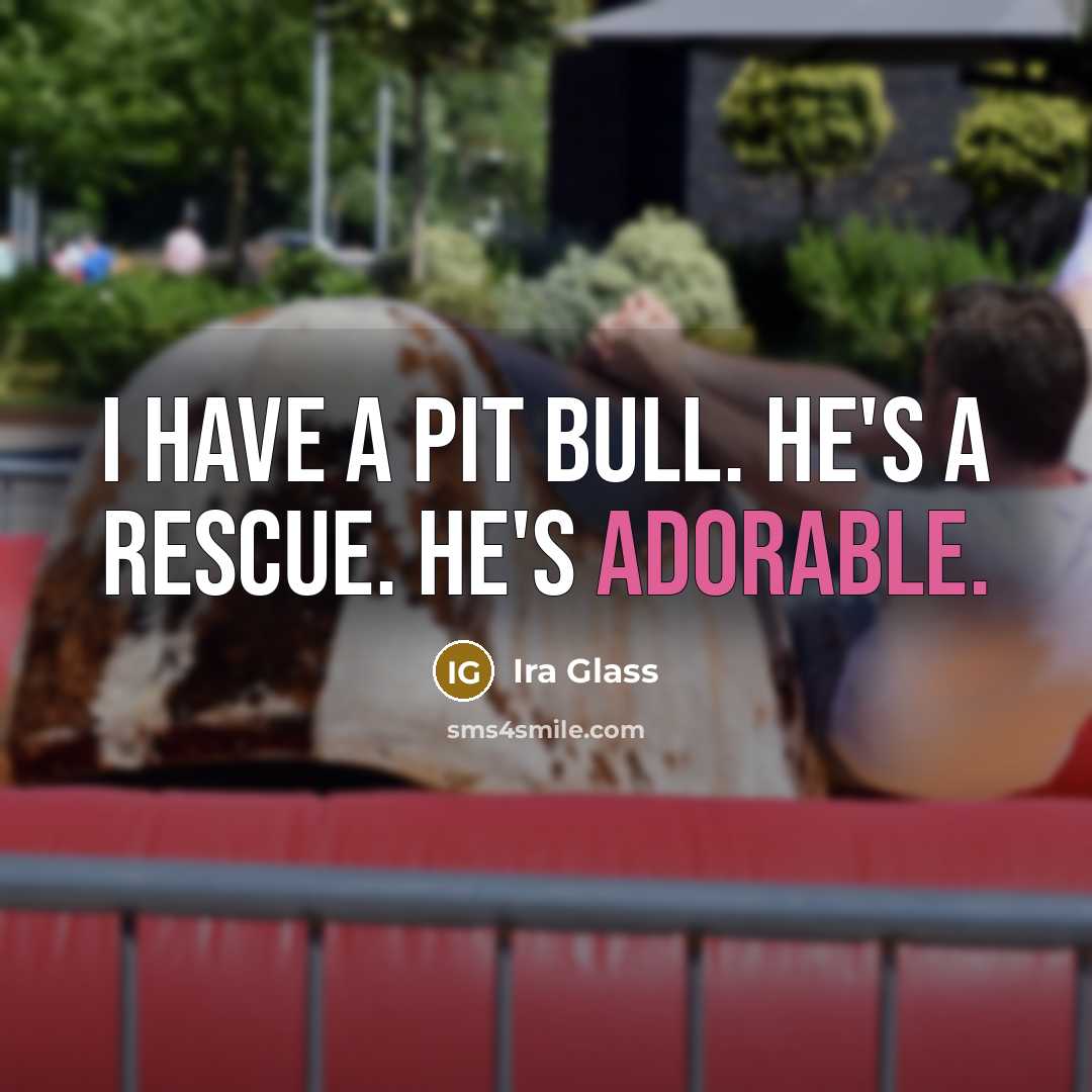 “I have a pit bull. He's a rescue. He's adorable.…” quote by Ira Glass